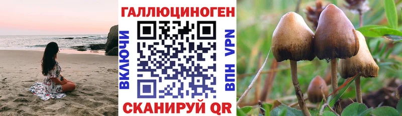Купить  Зима  Псилоцибиновые грибы GOLDEN TEACHER 